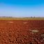 land for sale xylofagou larnaca 1937252 thumbnail 16518296