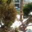 3 bedroom detached house for sale aglantzia nicosia 1098352 thumbnail 16160727
