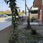 3 bedroom penthouse for sale zakaki limassol 8429352 thumbnail 14988306