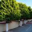 4 bedroom detached house for sale kato lakatamia nicosia 1073352 thumbnail 16246950
