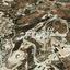 land for sale agios tychonas limassol 1146352 thumbnail 5518314