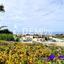 3 bedroom detached house for sale sea caves peyia paphos 7812452 thumbnail 15959252
