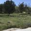 plot for sale aradippou larnaca 8382452 thumbnail 17521950