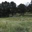 plot for sale aradippou larnaca 8382452 thumbnail 17521951