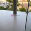 2 bedroom apartment for rent agios dometios nicosia 8771552 thumbnail 16573889