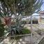 2 bedroom detached house for sale anglisides larnaca 8151552 thumbnail 13552595