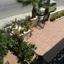 3 bedroom penthouse for rent pallouriotissa nicosia 1098552 thumbnail 16251419