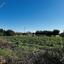 land for sale protaras famagusta 1659552 thumbnail 7243158