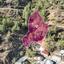 3847 SQM Land for sale in Gerakies, Nicosia thumbnail 15493996