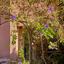 3 bedroom semi detached house for sale kato paphos paphos 7643652 thumbnail 12728674