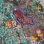 land for sale agia varvara nicosias nicosia 1009652 thumbnail 15601598