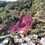 land for sale gerakies nicosia 8537652 thumbnail 15493994