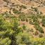 land for sale pano pyrgos nicosia 945652 thumbnail 15600567