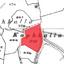 land for sale stroumbi paphos 824652 thumbnail 15599441