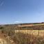 land for sale stroumbi paphos 824652 thumbnail 15599444