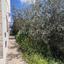 3 bedroom detached house for sale pachna limassol 7833752 thumbnail 17767097