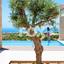 7 bedroom detached house for sale kouklia pafou paphos 1868752 thumbnail 6912768