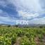 land for sale omodos limassol 1810752 thumbnail 17369934