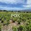land for sale omodos limassol 1810752 thumbnail 17369940