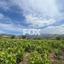 land for sale omodos limassol 1810752 thumbnail 6583516