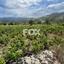 land for sale omodos limassol 1810752 thumbnail 6583517