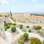6 bedroom detached house for sale mesa chorio paphos 8531852 thumbnail 15806866