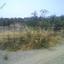 land for sale skarinou larnaca 7873852 thumbnail 11395632
