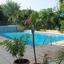 studio hotel for sale prodromi paphos 7739852 thumbnail 12579361