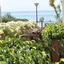 2 bedroom maisonette for rent potamos germasogeias limassol 8168952 thumbnail 16254206