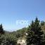 3 bedroom detached house for sale tsada paphos 1160062 thumbnail 17944474
