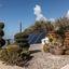 4 bedroom bungalow for sale tala paphos 8521062 thumbnail 15398574