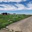 land for sale pano lakatamia nicosia 1565062 thumbnail 17454210