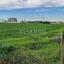 land for sale pano lakatamia nicosia 1565062 thumbnail 17454217