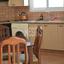 2 bedroom apartment for rent aglantzia nicosia 1927162 thumbnail 11045222