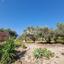 4 bedroom detached house for sale agia marina chrysochous paphos 1648162 thumbnail 11240885