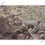 land for sale alampra nicosia 7867162 thumbnail 10904880