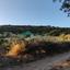 land for sale pachna limassol 922162 thumbnail 5414234