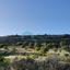 land for sale pachna limassol 922162 thumbnail 5414238