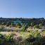 land for sale pachna limassol 922162 thumbnail 5414239