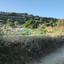 land for sale pachna limassol 922162 thumbnail 5414241