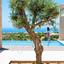 3 bedroom detached house for sale secret valley paphos 8959262 thumbnail 17779860