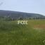 land for sale monagroulli limassol 1146262 thumbnail 5502016