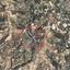 land for sale vasa kilaniou limassol 1504262 thumbnail 16716476