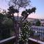 5 bedroom detached house for rent stroumbi paphos 8903362 thumbnail 17619345