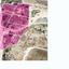 land for sale geri nicosia 1730362 thumbnail 9303825