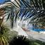 5 bedroom detached house for sale parekklisia limassol 1148462 thumbnail 5547781