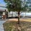 5 bedroom detached house for sale parekklisia limassol 1148462 thumbnail 5547791