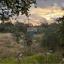 land for sale agios tychonas limassol 7507462 thumbnail 16937456