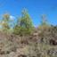 2378 SQM Land for sale in Pigenia, Nicosia thumbnail 16332176