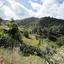 land for sale gourri nicosia 1006562 thumbnail 13239871